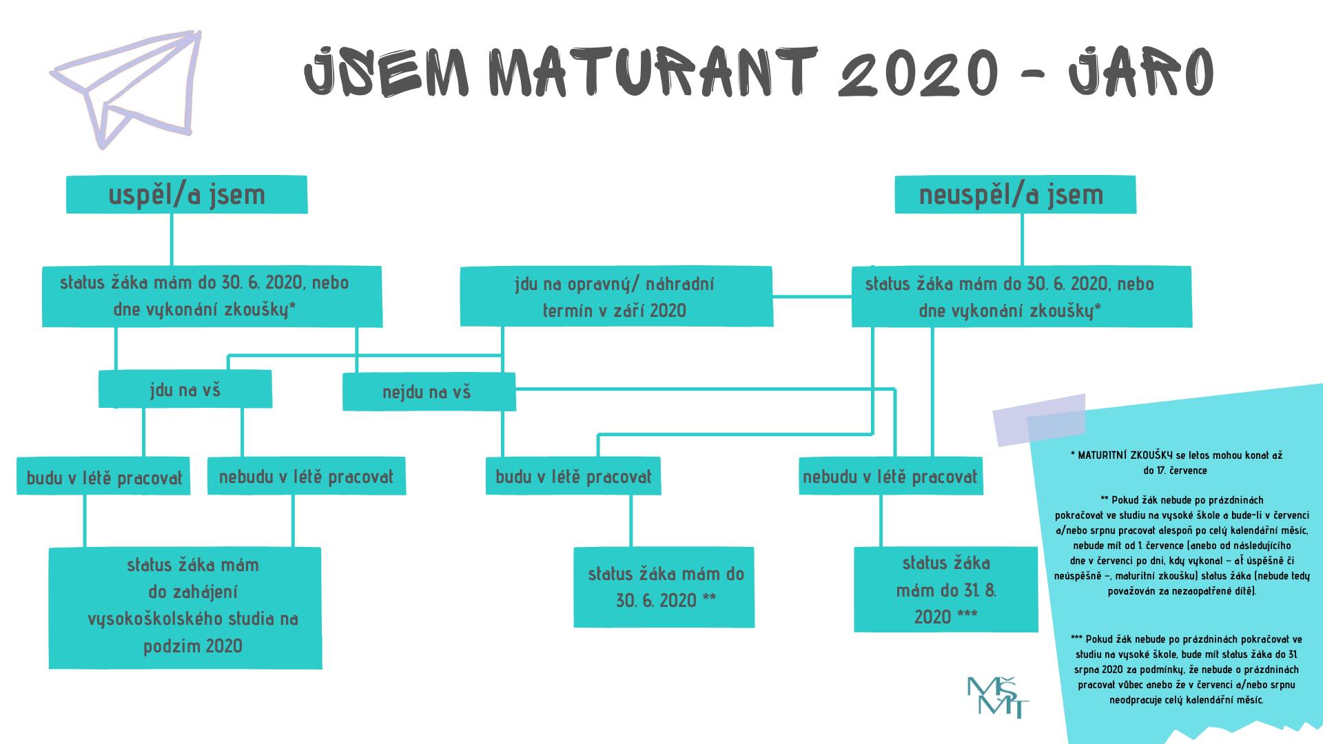 Decision tree MSMT 2020.jpg